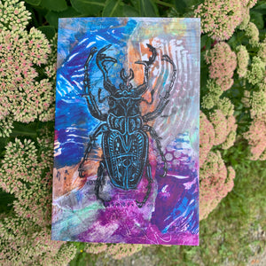 Coleoptera Art Card