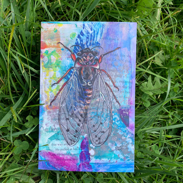 Cicada Art Card
